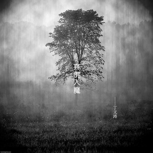 午夜视频在线观看www在线
