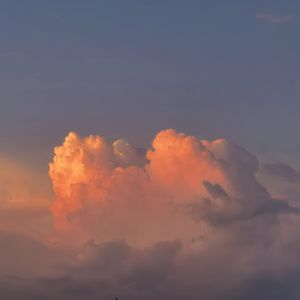 午夜视频在线观看www在线
